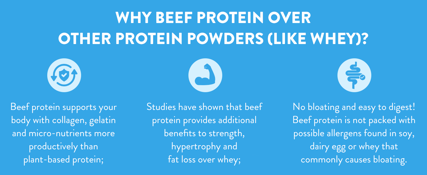 Why beef protein over other protein powders