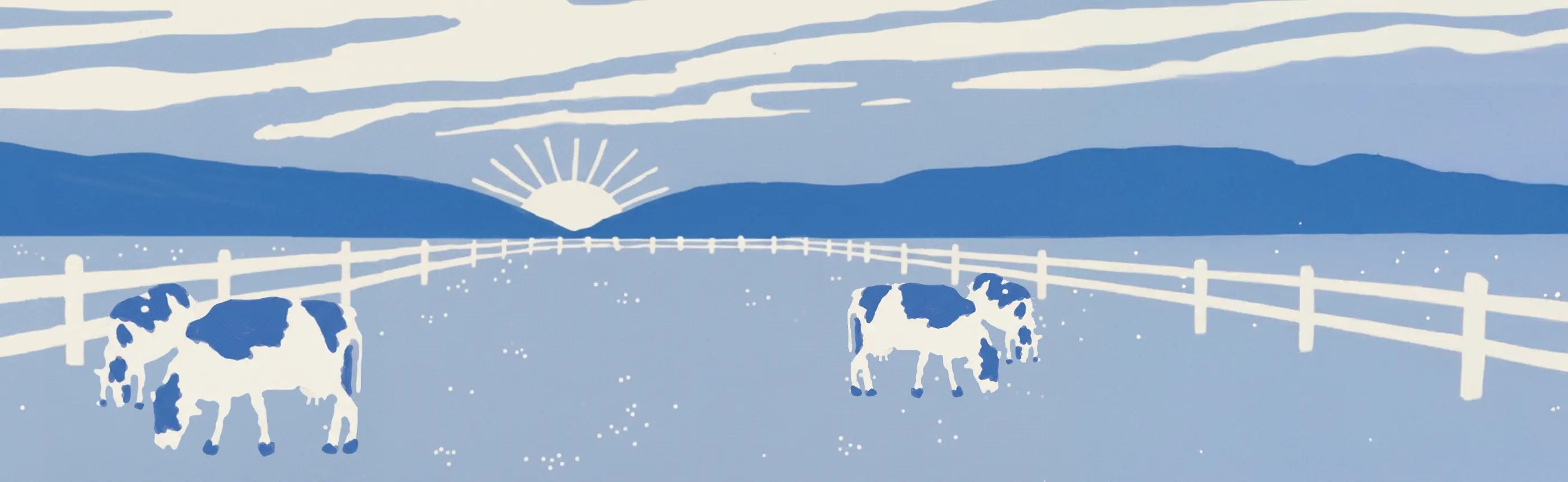 Grass-fed cattle at sunrise