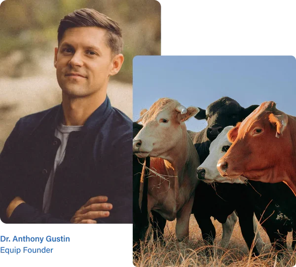 Dr. Anthony Gustin and grass-fed cattle